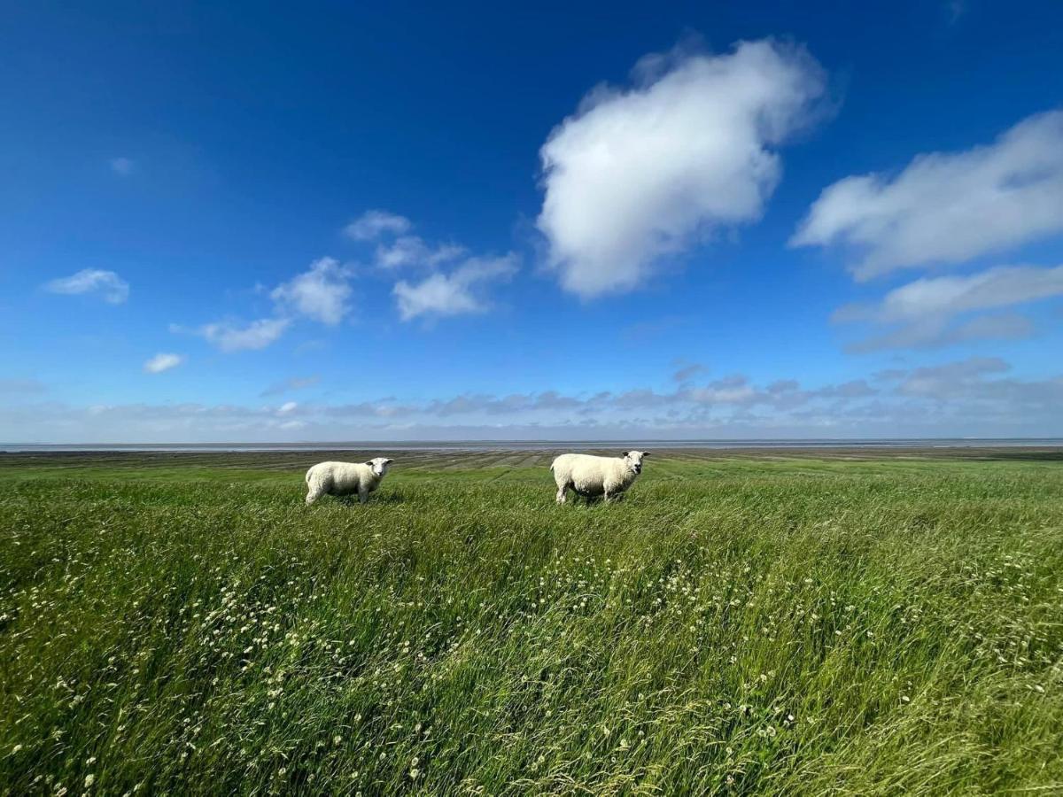 Вілла Ferienhaus Blaue Nordseewelle Езенс Екстер'єр фото